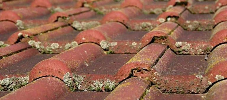 Common Roofing Problems