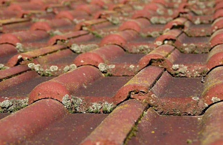 Common Roofing Problems