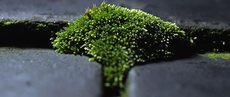 Common Summer Roofing Problems In Omaha