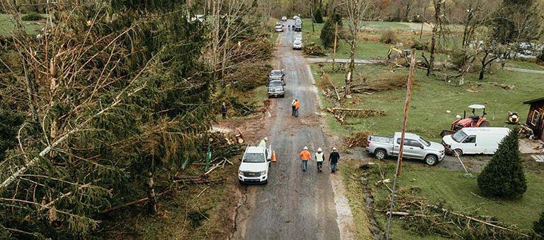 What You Should Do When a Large Tree Falls on Your Roof