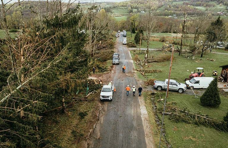 What You Should Do When a Large Tree Falls on Your Roof