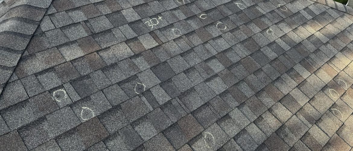 Chalk-circled hail bruise on asphalt shingle