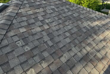 Chalk-circled hail bruise on asphalt shingle