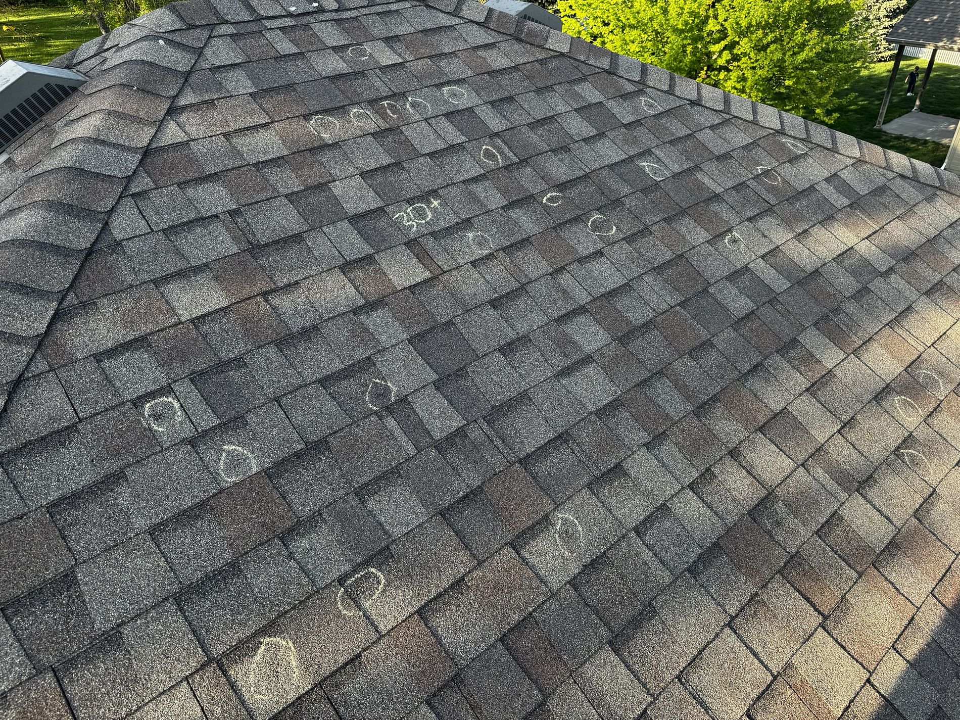 Chalk-circled hail bruise on asphalt shingle