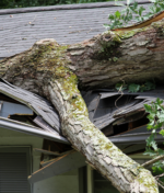 What to Do After Storm Damage to Your Roof: A Step-by-Step Guide