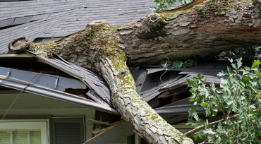 Storm Damage Repair Storm Damage Repair